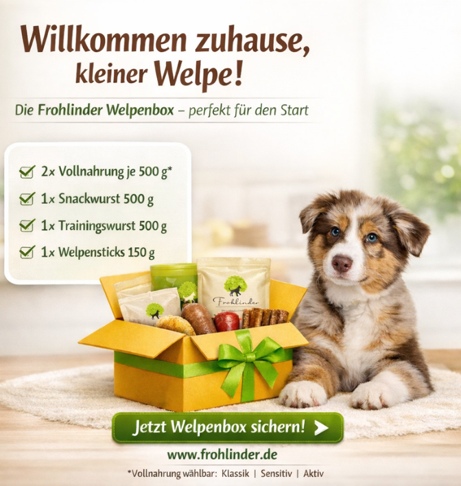 Frohlinder Welpenbox