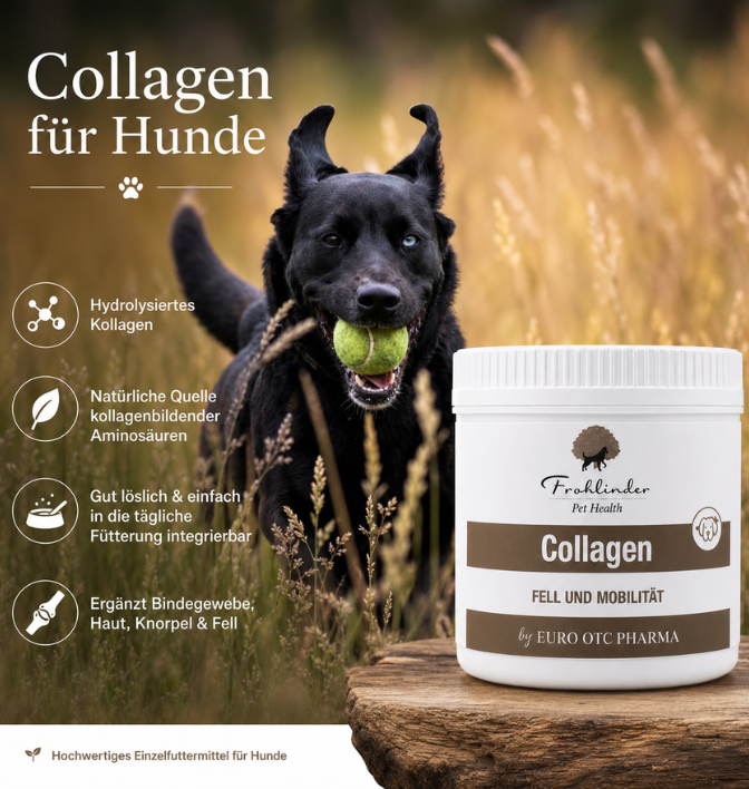 Frohlinder Pet Health Collagen 2 Frohlinder Pet Health Collagen – Bild 2