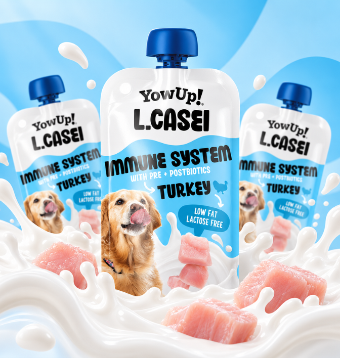 YowUp! Naturjoghurt - L.Casei Probiotics Truthahn