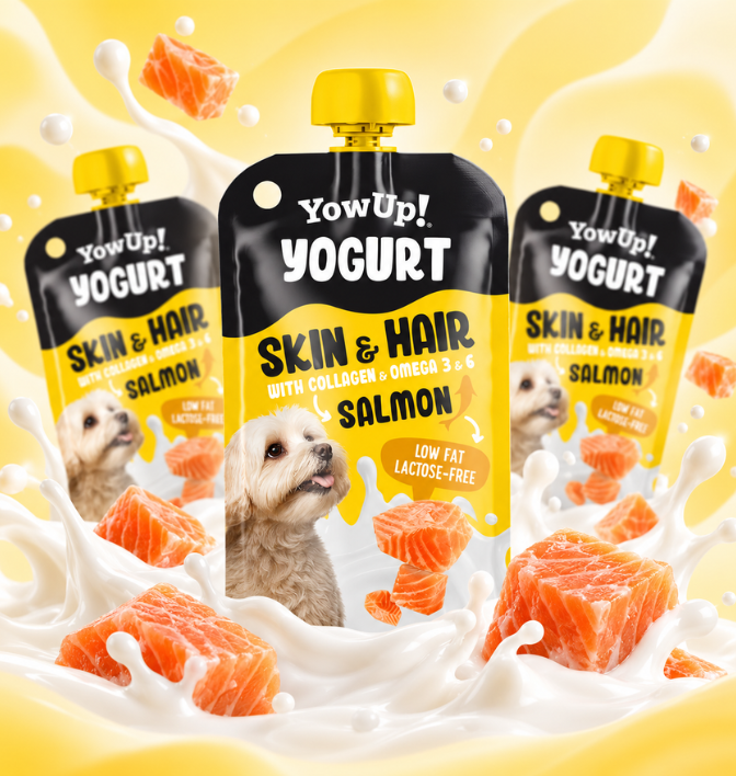 YowUp! Naturjoghurt für Haut & Fell - Lachs