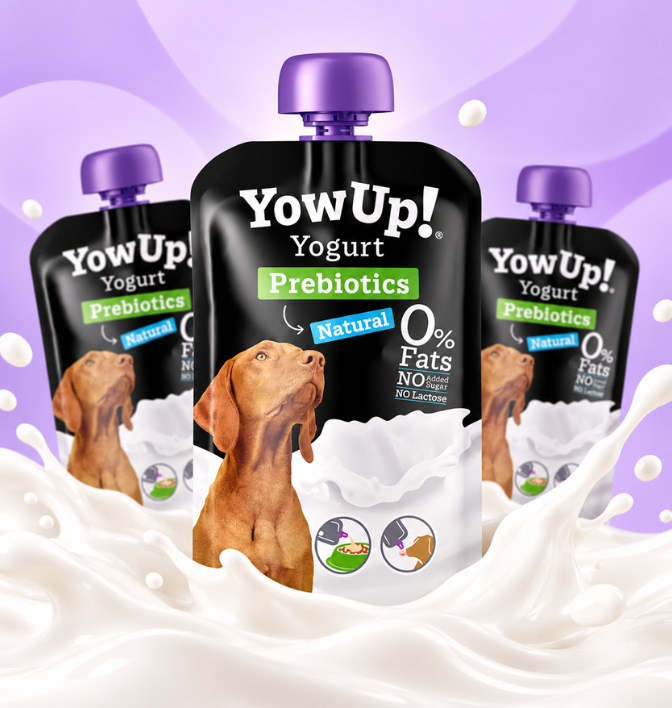 YowUp! Naturjoghurt - Prebiotics Natural 1 YowUp! Naturjoghurt - Prebiotics Natural